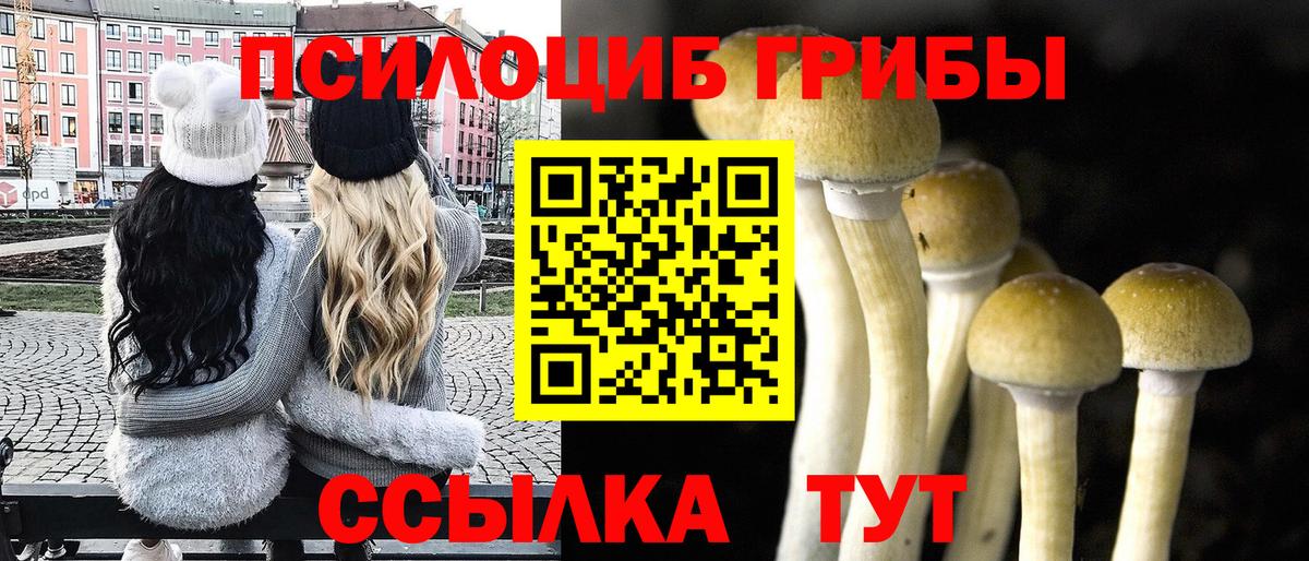 Псилоцибиновые грибы мухоморы Заречный