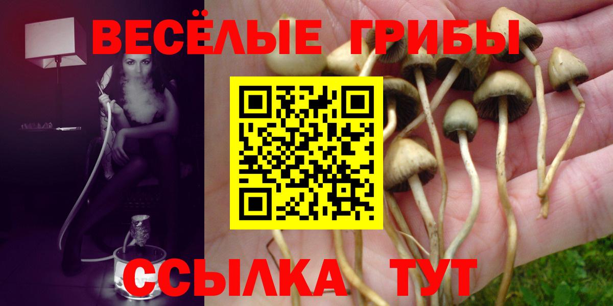 Псилоцибиновые грибы GOLDEN TEACHER  Галлюциногенные грибы GOLDEN TEACHER  Заречный  где продают наркотики  Вход с VPN 